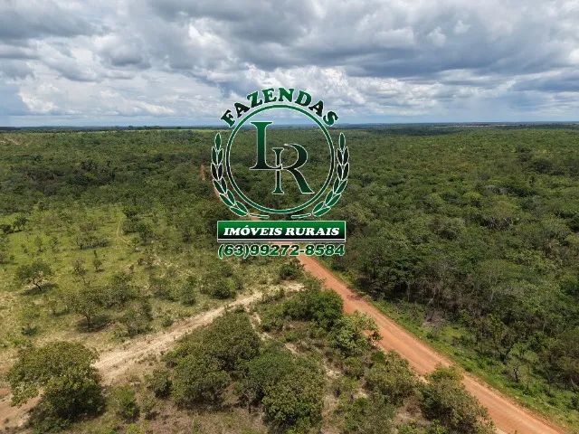 Fazenda Dupla Aptidão Bruta de 40 Alqueires  Tocantins - Foto 3