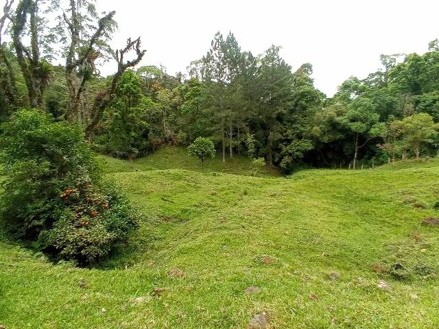 Vendo lindo sitio  - Foto 4