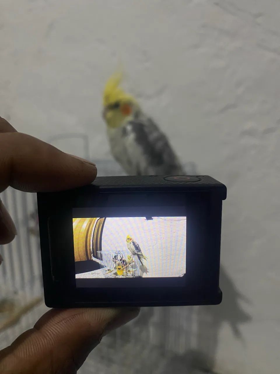 Go pro hero 4