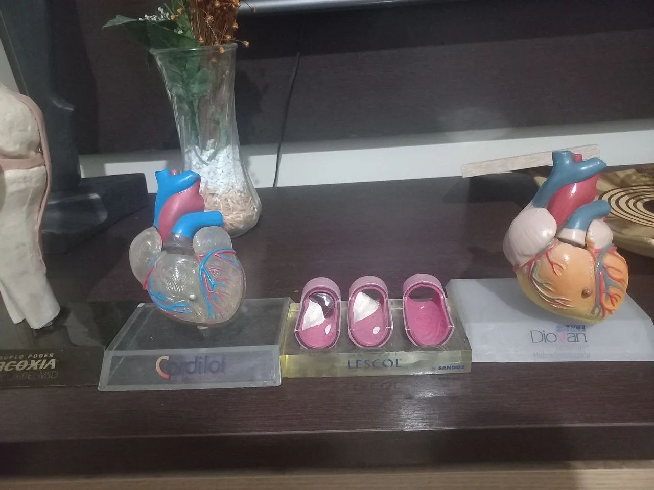 Peças de anatomia  - Foto 2