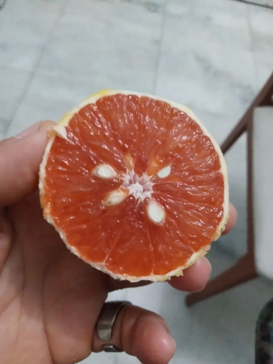 Laranja sanguínea (vermelha) - vendo mudas Enxertadas - Foto 2