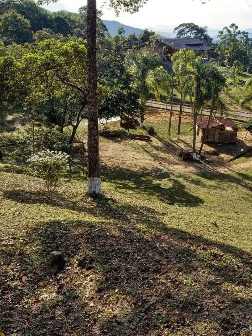 Sítio à venda, 3 m² por R$ 700.000 - São Sebastião - Palhoça/SC