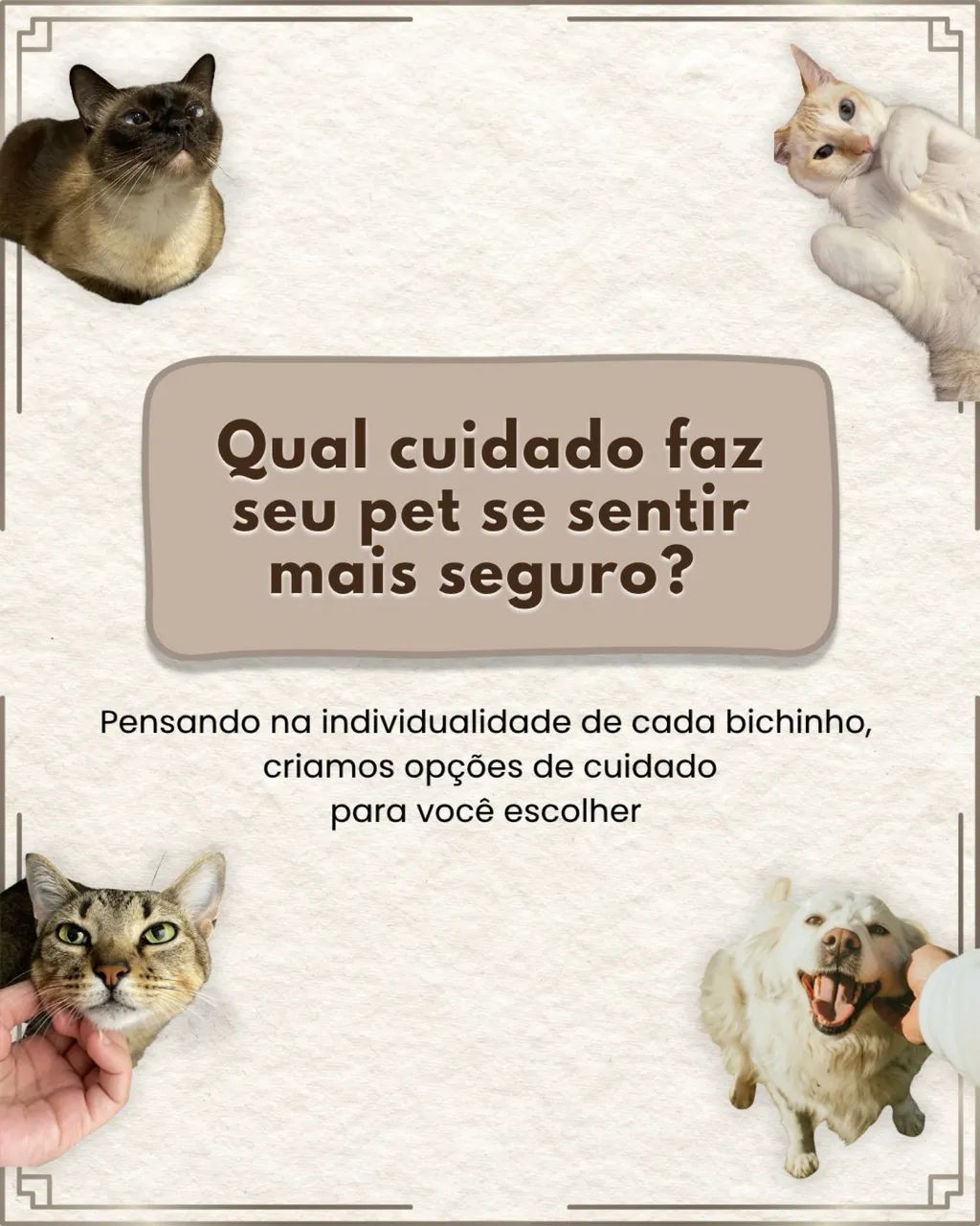 Cuidadores de Pet/Catsitter/Petsitter