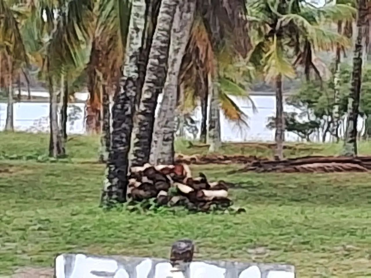 Sítio Em Santa Isabel pirambu