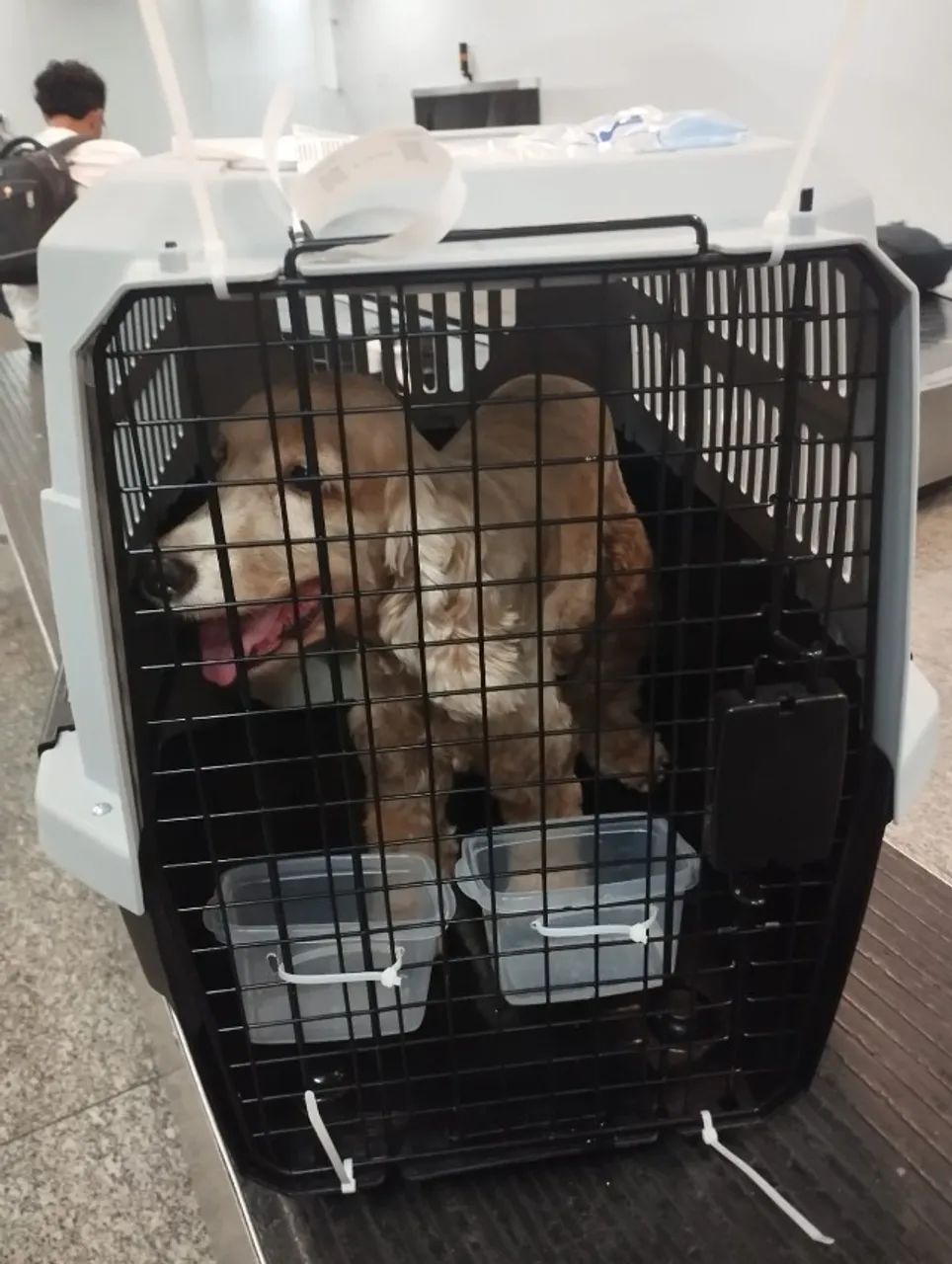 CAIXA DE TRANSPORTE PET - Foto 5