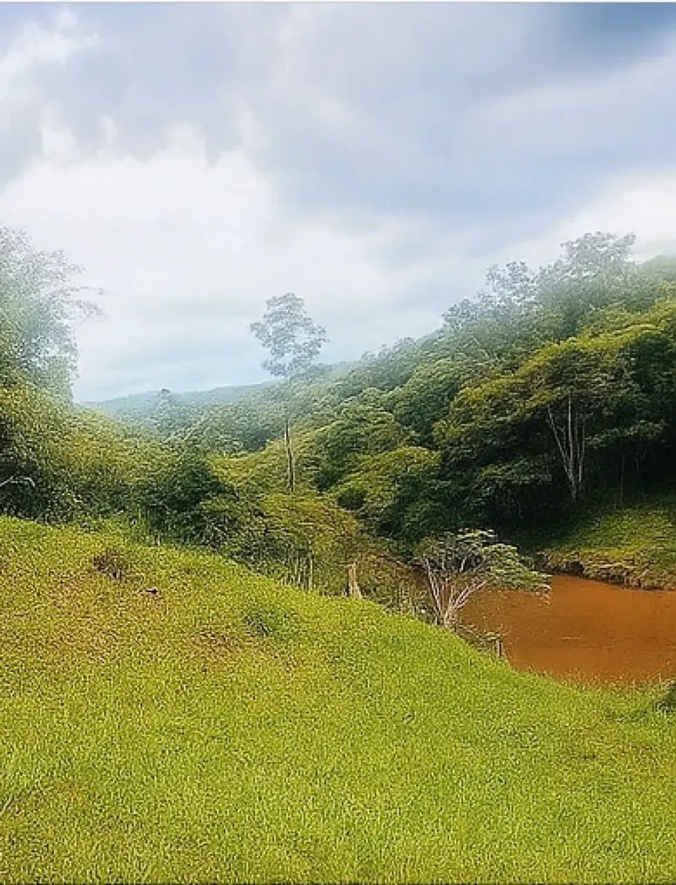 Chácara com 25.000m2 e muita água - Foto 4