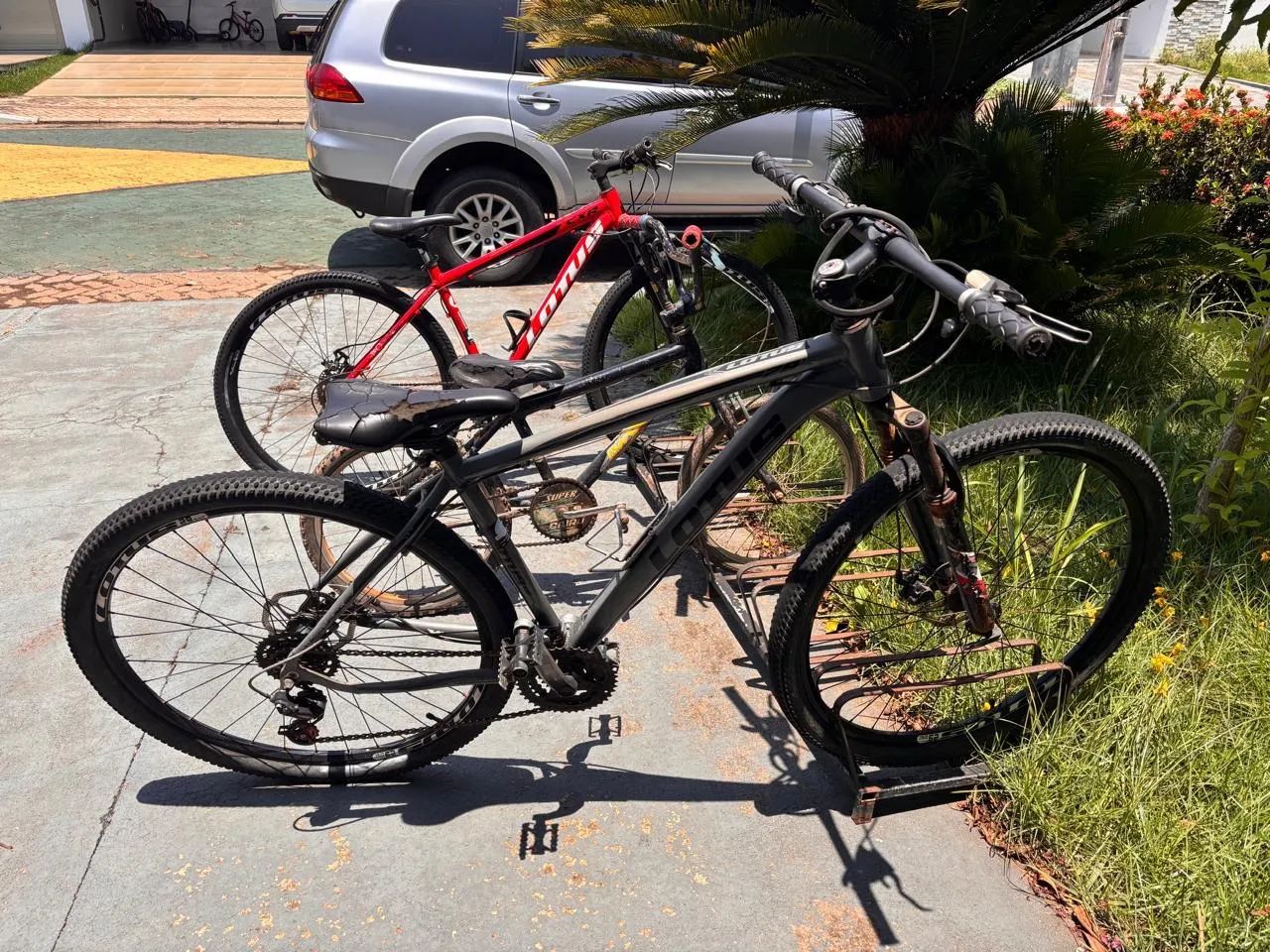 Bicicleta lótus  - Foto 2
