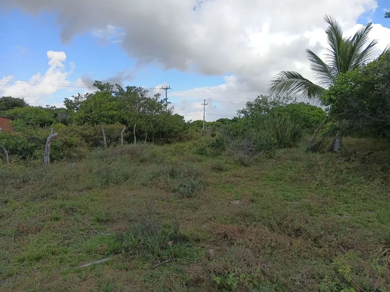 Terreno  em Santo Inácio ao lado de Atins - Foto 4
