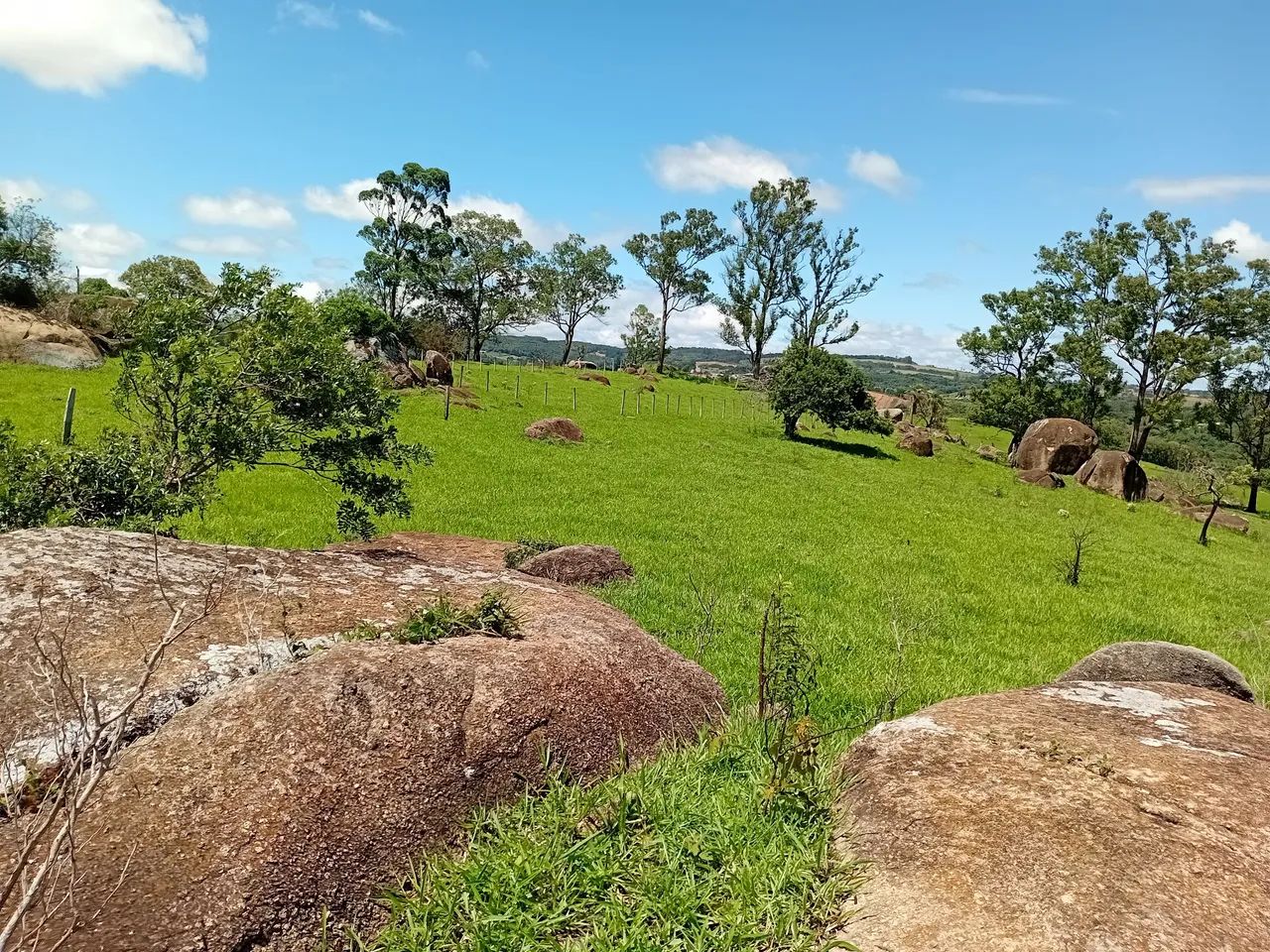 Foto - Piedade - 