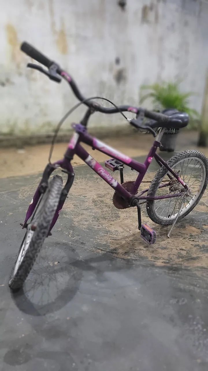 Bicicleta infantil Aro 20 (cor roxa)