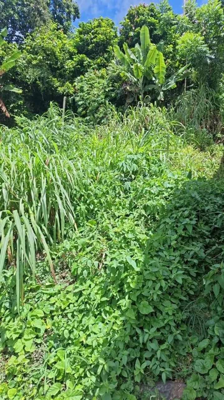 Terreno escriturado com excelente preço e localização, próximo ao CENTRO de Ilhéus  - Foto 3