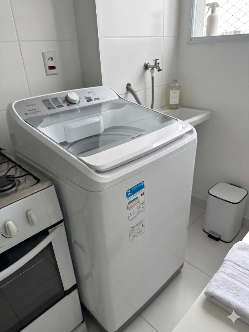 Máquina de Lavar Panasonic 14KG - Seminova