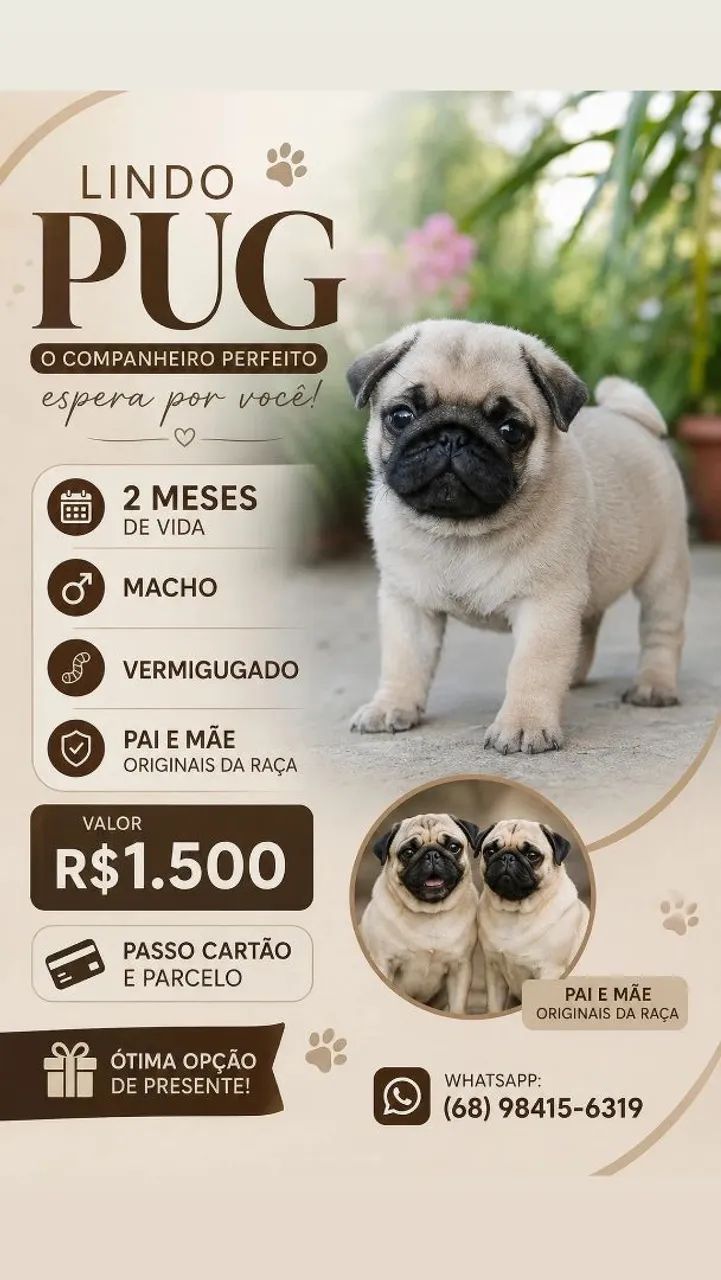 Cachorro raça Pug 