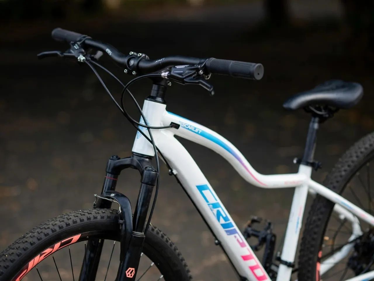 VENDO BICICLETA ARO 29 CRIPTO - SEMINOVA - Foto 2