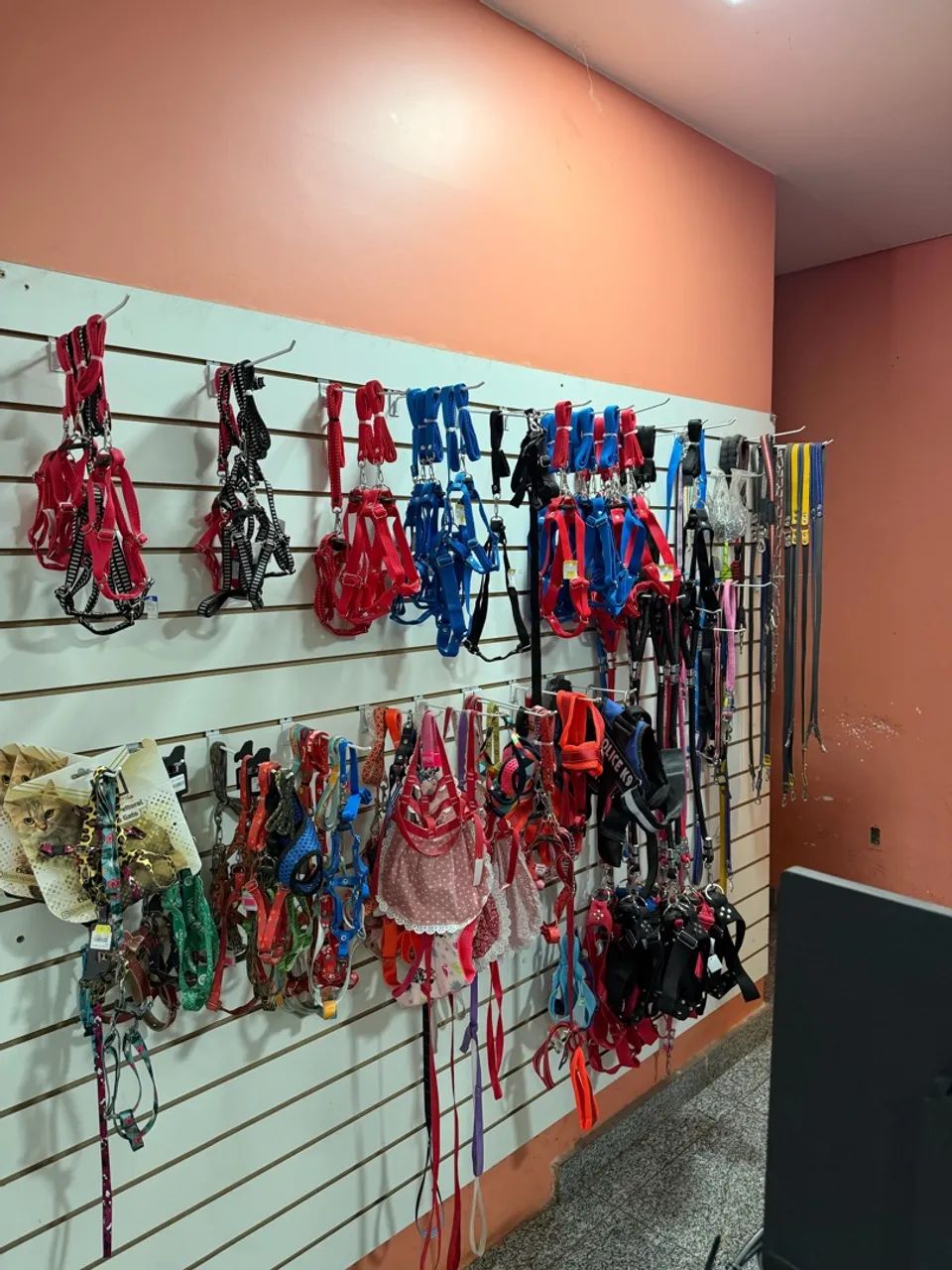 Petshop mais bonito do riacho fundo 2 - Foto 5