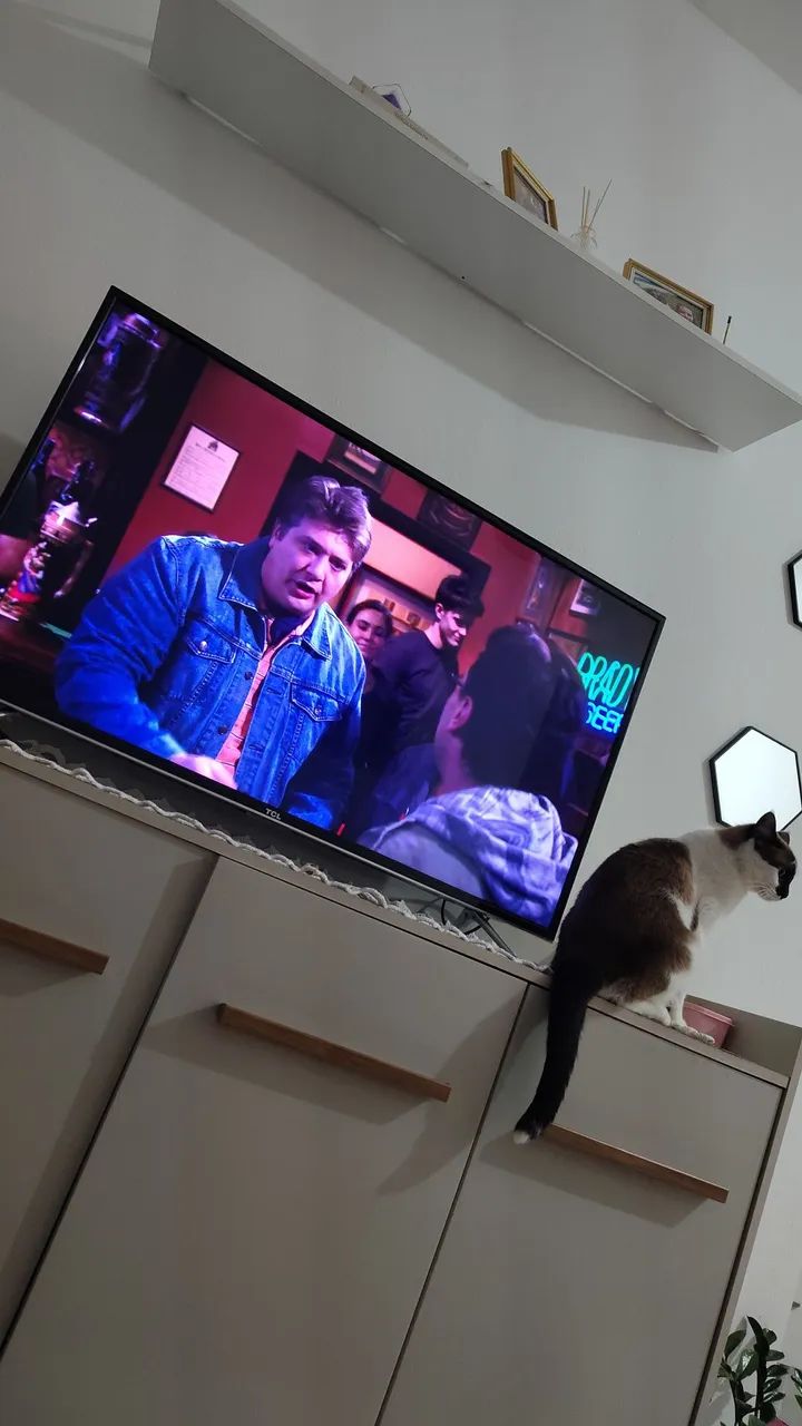Vendo tv 43 smart 