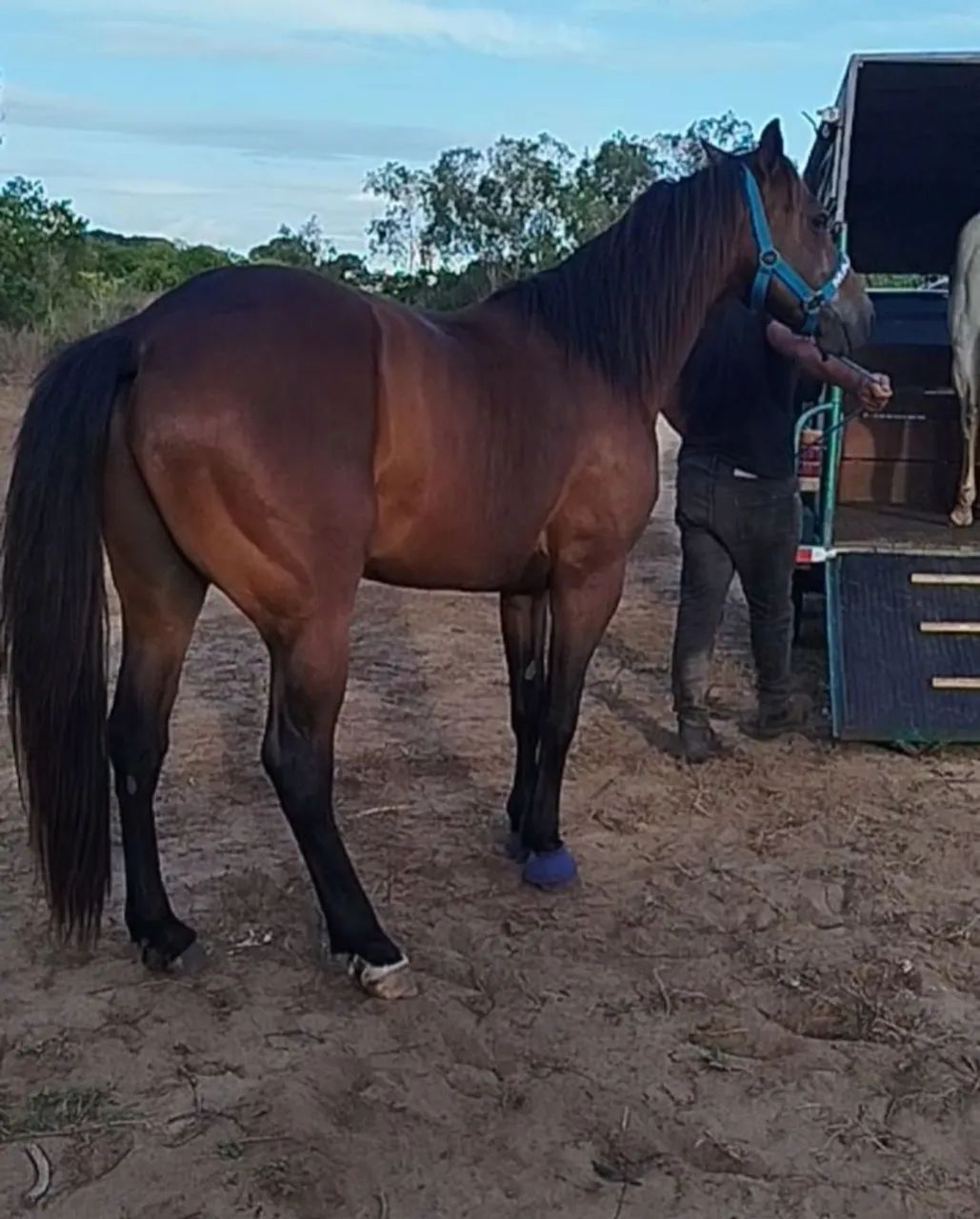 Vendo e troco  - Foto 2