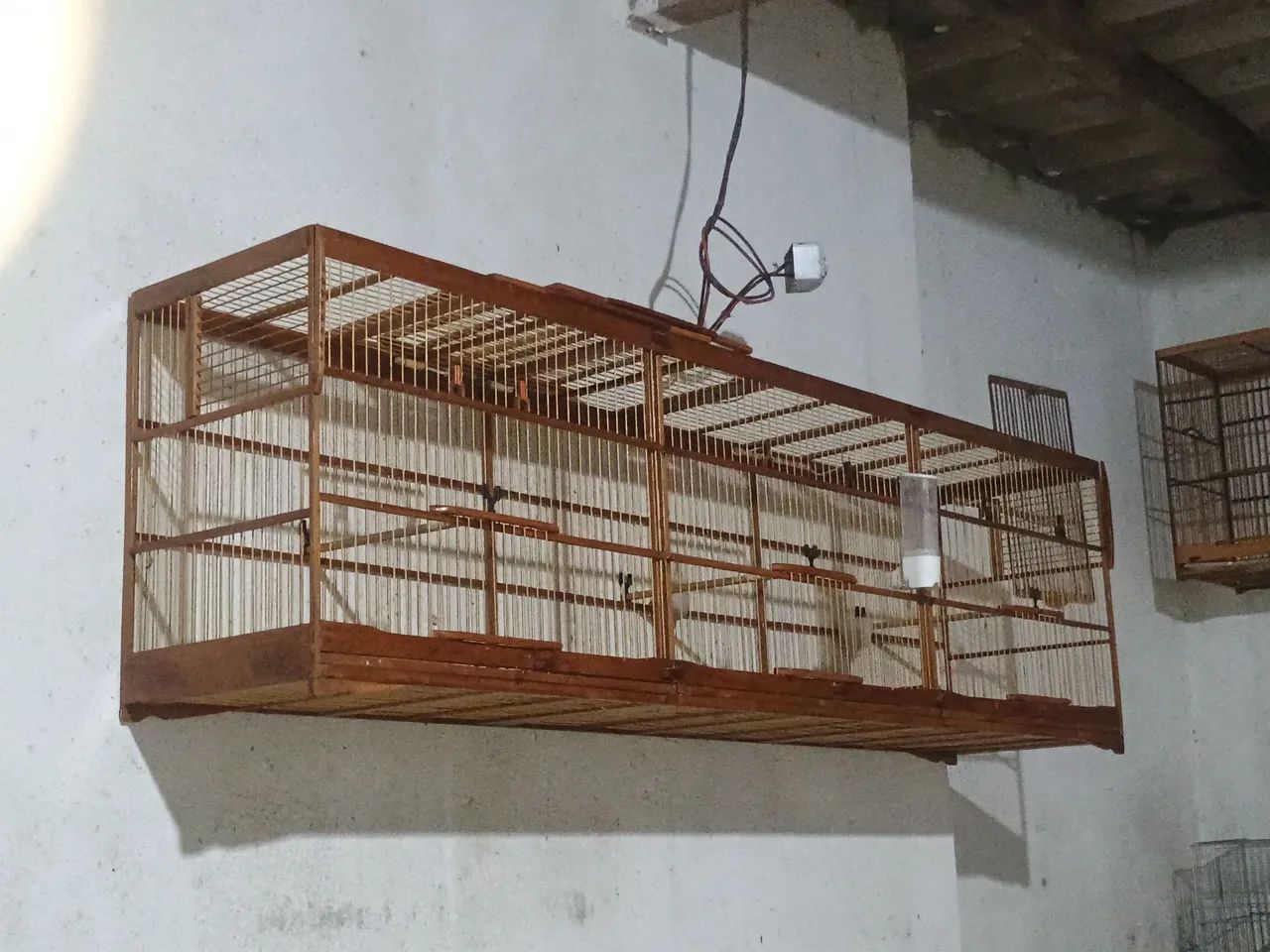 Gaiolas 65093396672769121