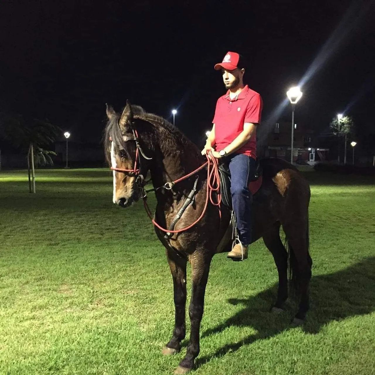 Vendo cavalo castrado - Foto 2