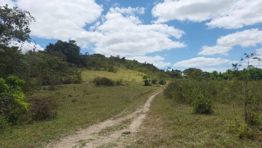 Fazenda em Joaquim Gomes   - Foto 3