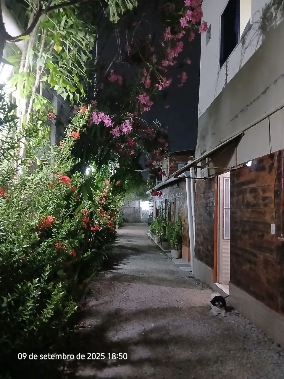 Kitinete em messejana  - Foto 3
