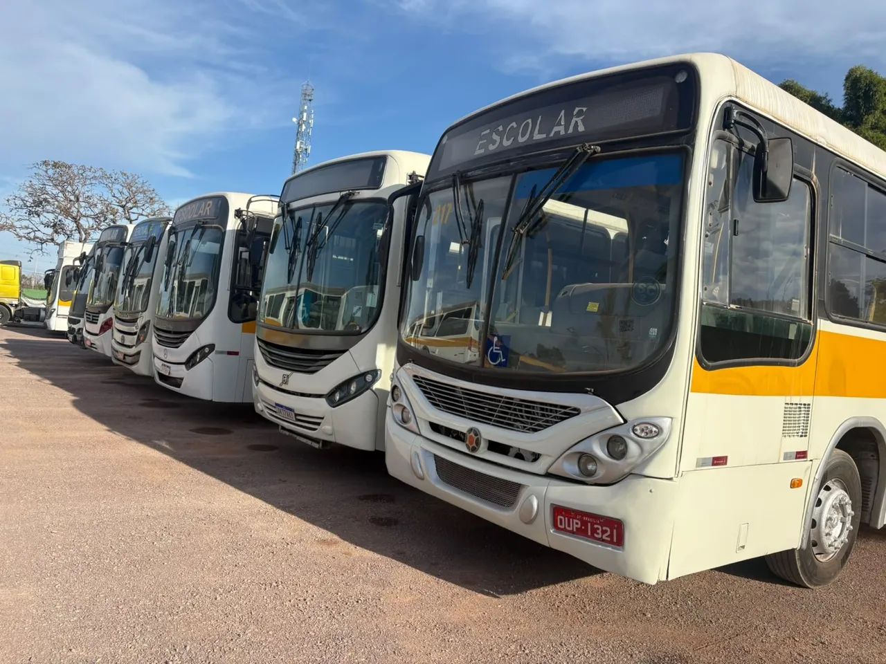 Vários ônibus 