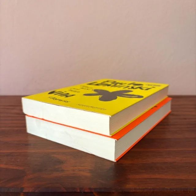 Livros Paulo Leminski - Foto 3