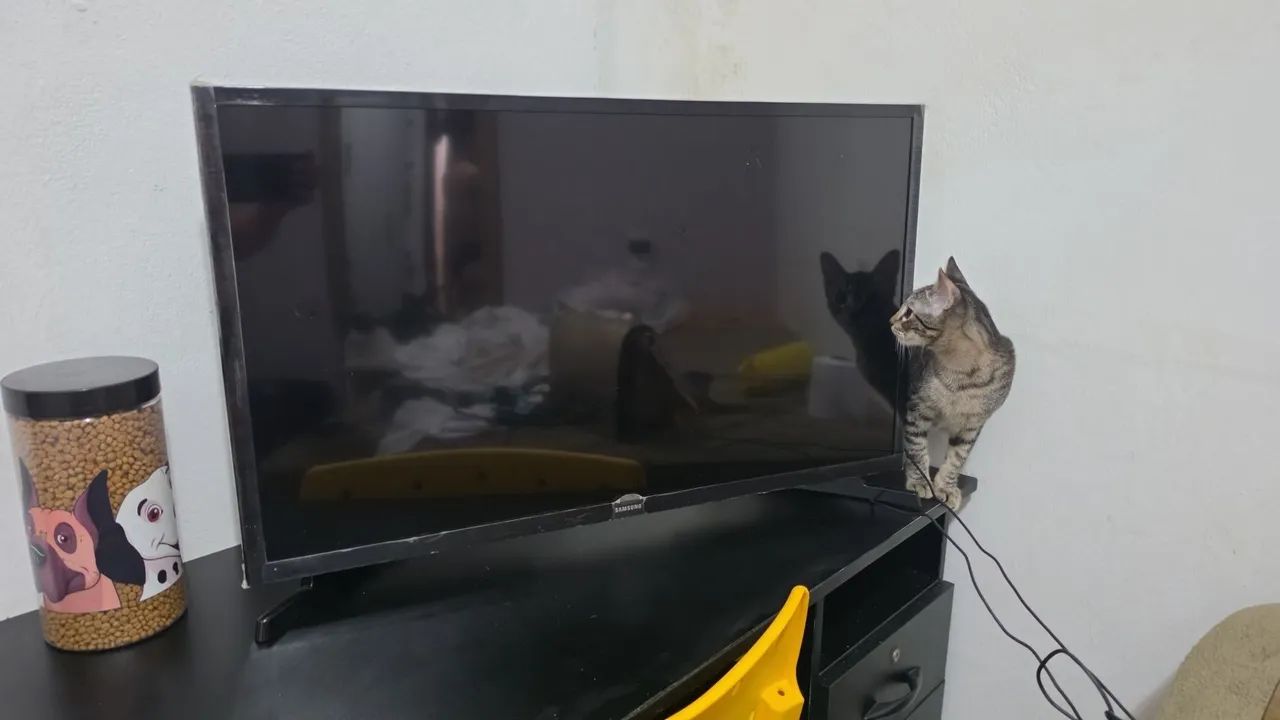 Smart TV Samsung 32 polegadas