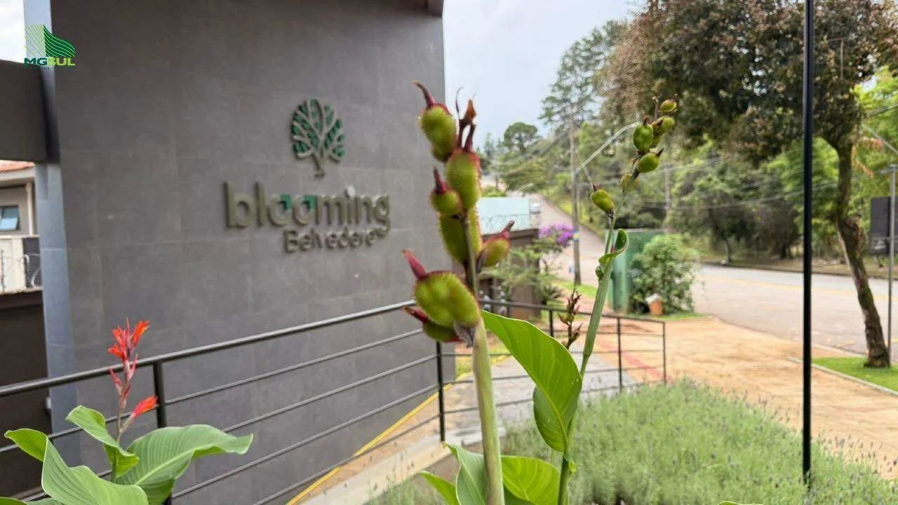 Loja Comercial para Alugar em Belvedere (BH)  103 m², Centro-Sul - Foto 2