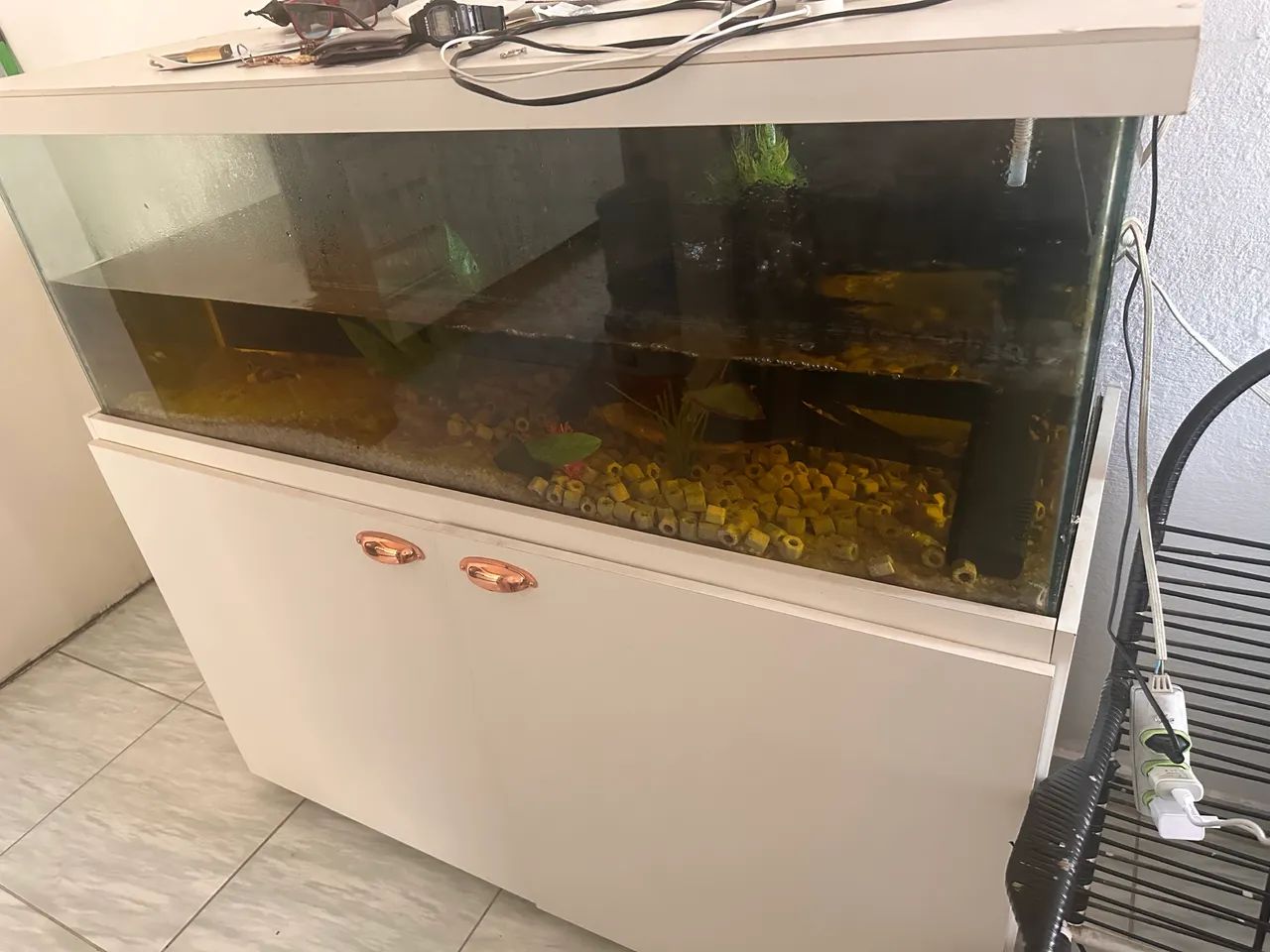 Aquário  - Foto 2