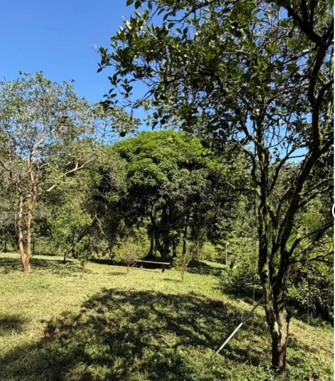 Sítios dos sonhos - Foto 4