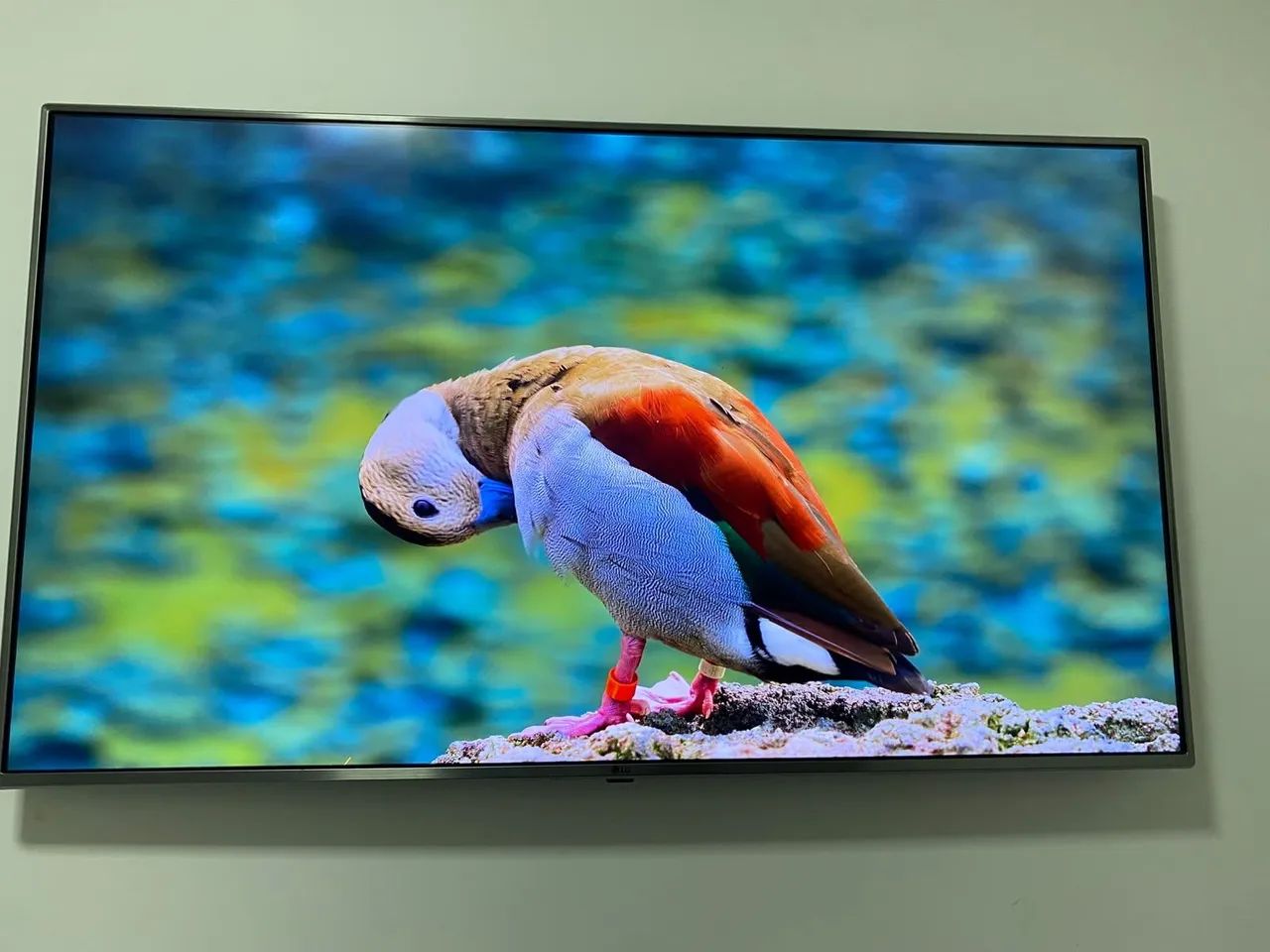 Tv 55 polegadas led LG - Foto 2