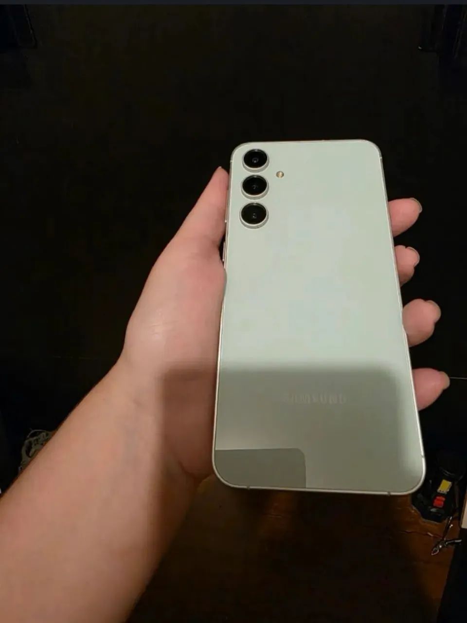 S23Fe 256Gb