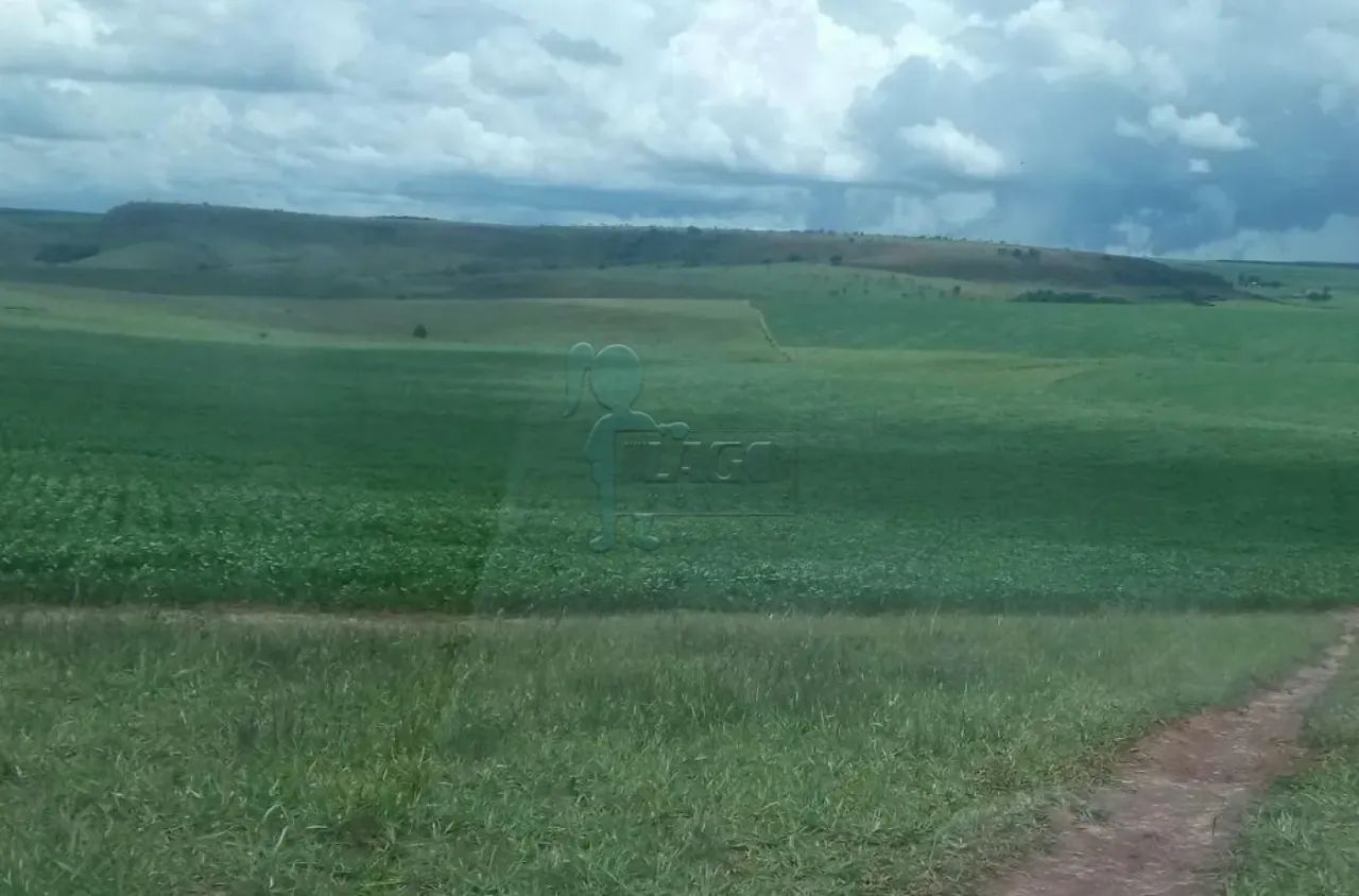 Rural/Fazenda - Misto - Dupla Aptidão - Triangulo Mineiro - Foto 4