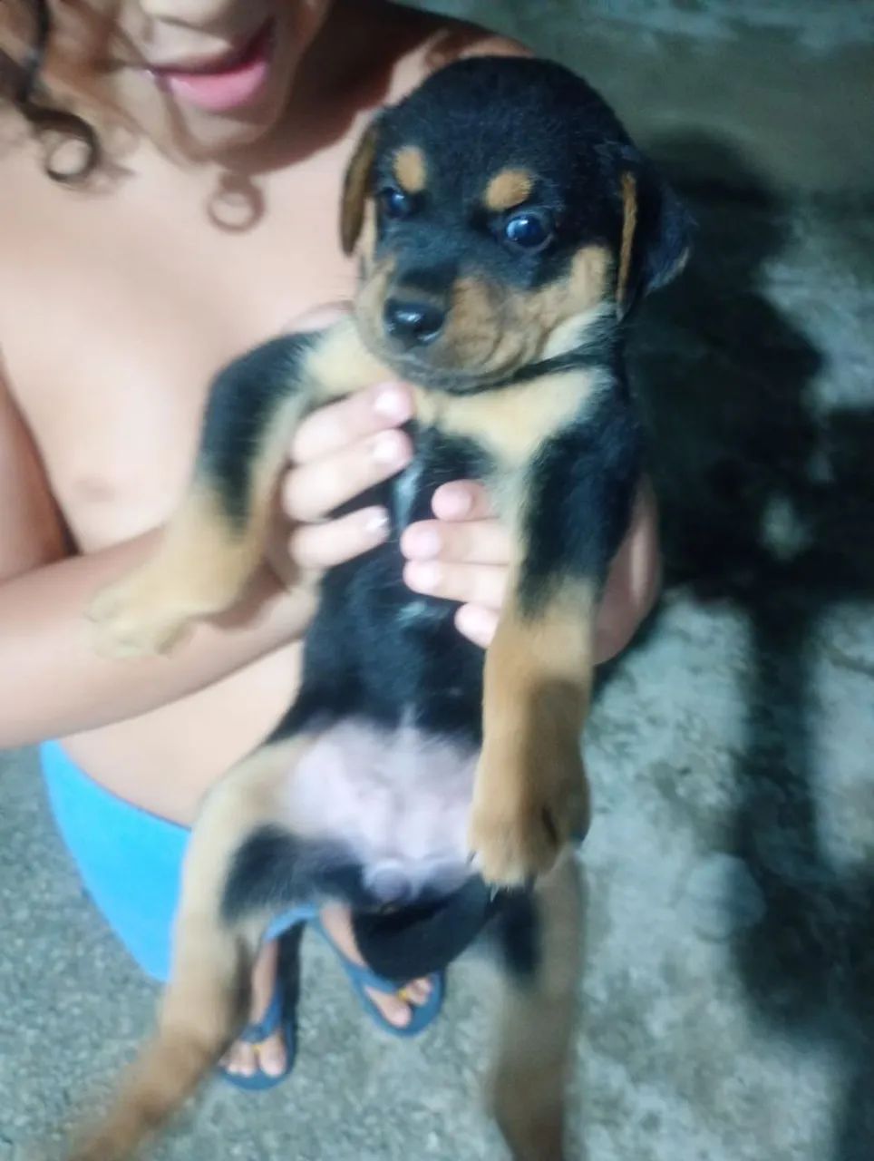 Doação responsável - Foto 3