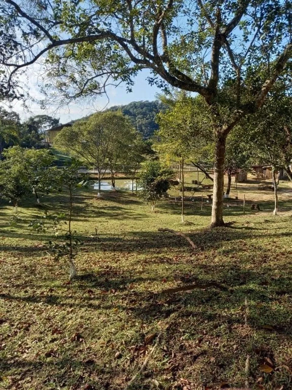 Sítio à venda, 3 m² por R$ 700.000 - São Sebastião - Palhoça/SC - Foto 5