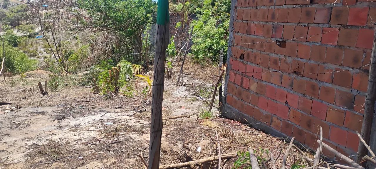Terreno arembepe - Foto 4