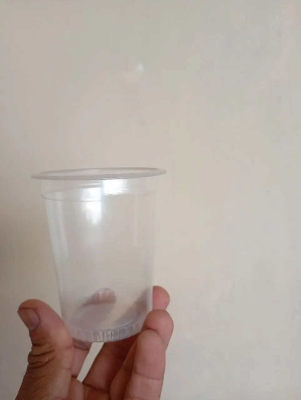 Copos de plástico registente ao gelo para selagem 