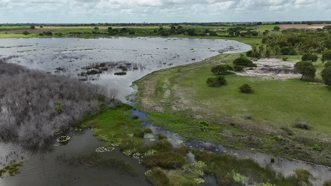 fazenda com 19.9 hectares próximo a lagoa salgada um paraíso de área