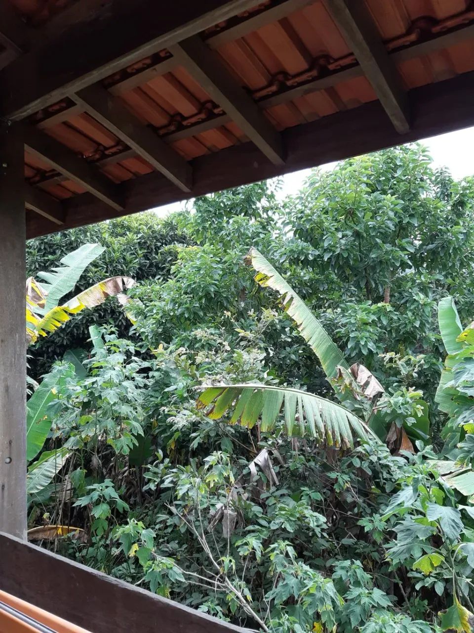 Chácara para venda com 600 metros quadrados com 3 quartos - Foto 5