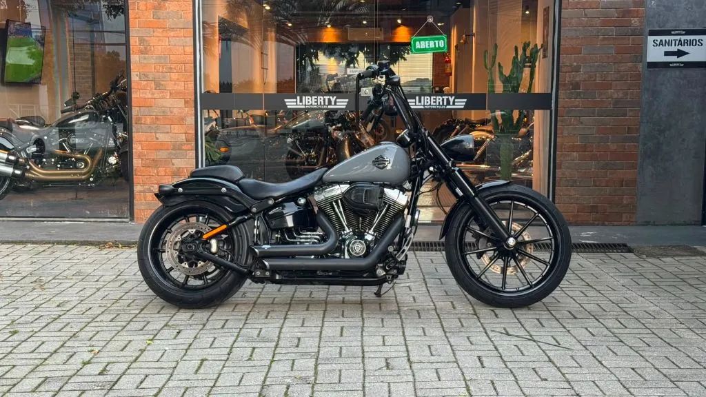 SOFTAIL BREAKOUT FXSB