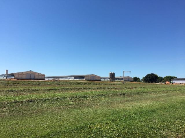 Granja com área de 40 hectares, localizada a 50 km de Lucas do Rio Verde - Foto 13