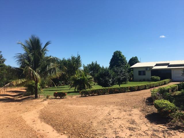 Granja com área de 40 hectares, localizada a 50 km de Lucas do Rio Verde - Foto 14