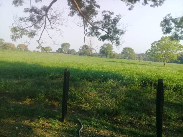 Fazenda - Paraíso do Tocantins/TO - Foto 9