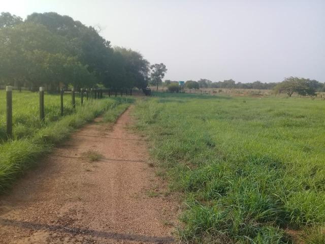 Fazenda - Paraíso do Tocantins/TO - Foto 16