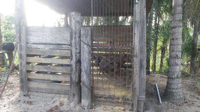 Vendo ou troco por casa em vilhena ro - Foto 14