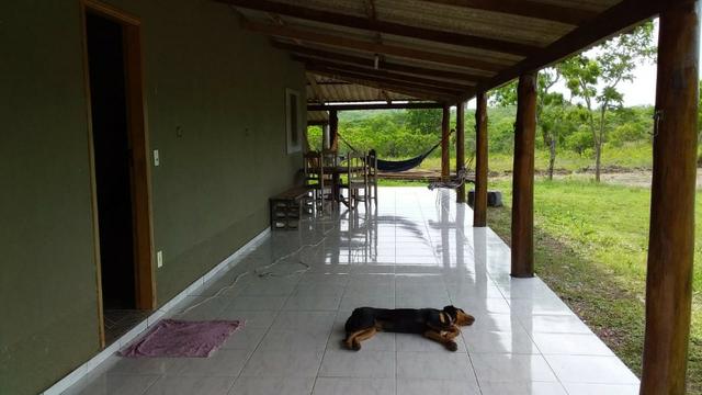 Vendo uma chácara de 2 hectares no coxipo do ouro ! - Foto 9