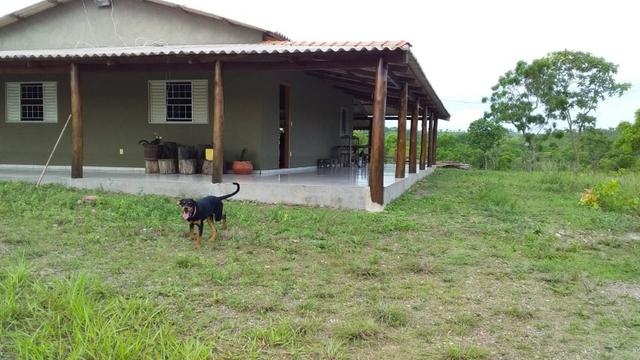 Vendo uma chácara de 2 hectares no coxipo do ouro ! - Foto 11