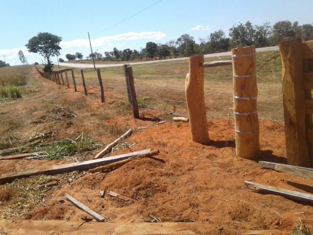 Fazenda Juscimeira - Foto 4