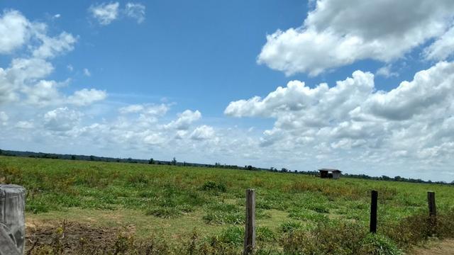 Fazenda 1.028 Hectares Dupla Aptidão - Nova Guarita - MT - Foto 7